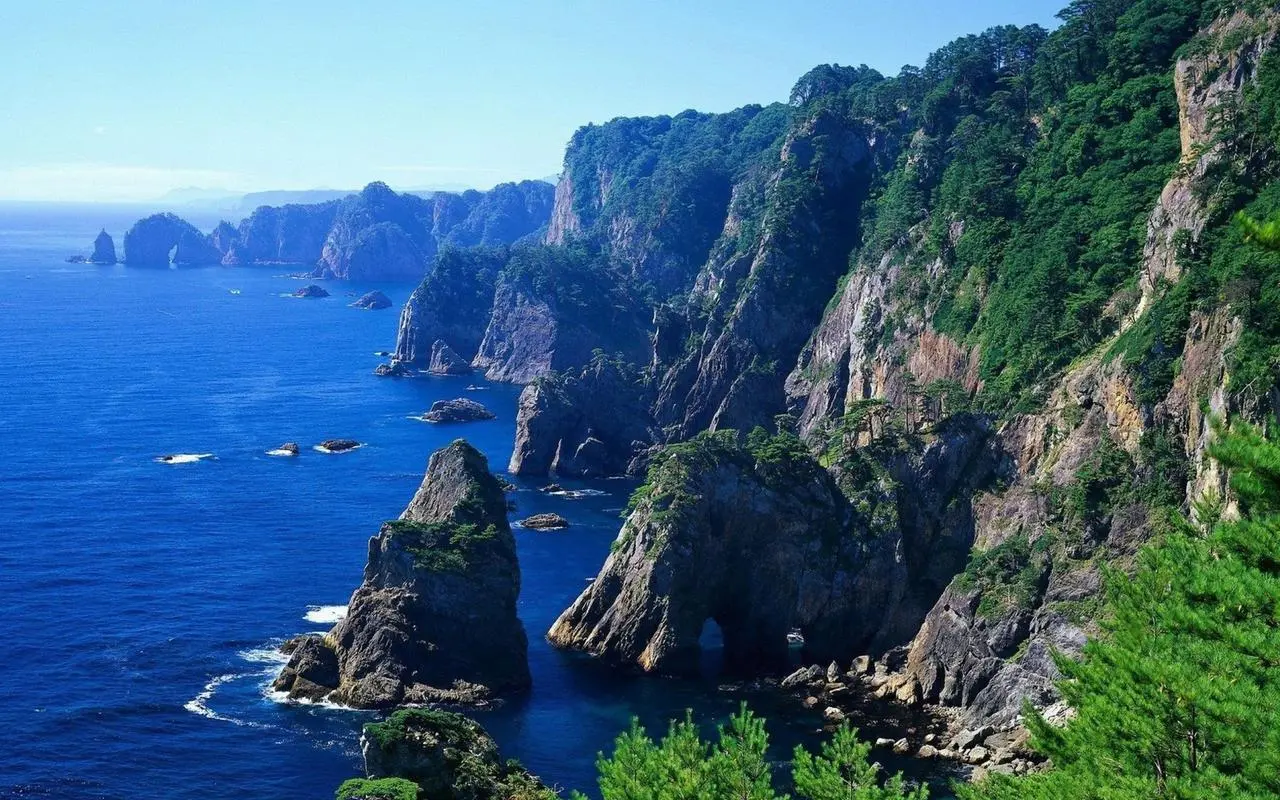 高标准全自动智能